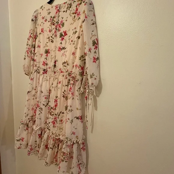 Taylor Cream Floral Dress with Pink and Red Accents - Picture 6 of 7